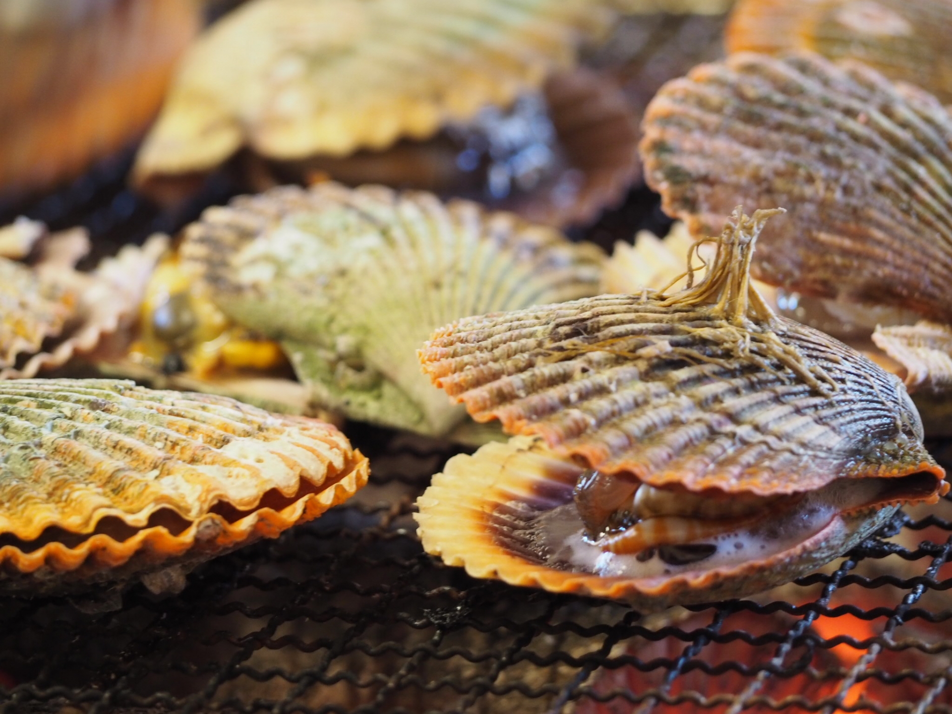 alt="北海道の美味しい食材"