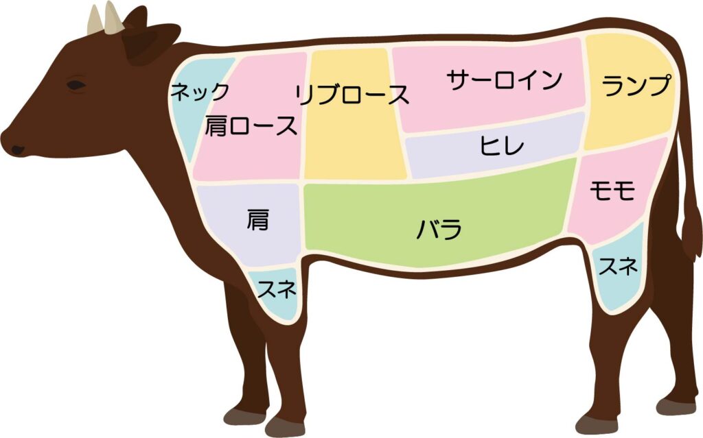 alt="牛肉の部位のイラスト"