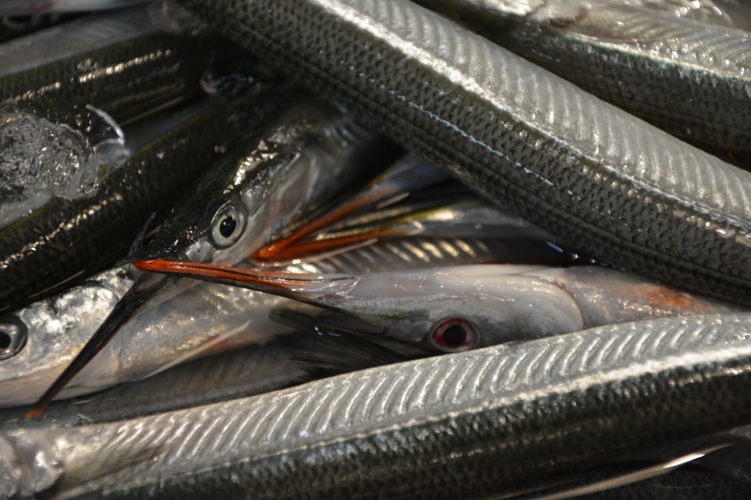 魚市場の新鮮な魚