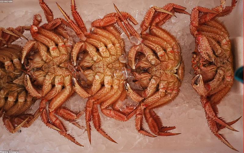 刺身の美学｜日本料理における刺身の文化と美しい盛り付けのコツ
