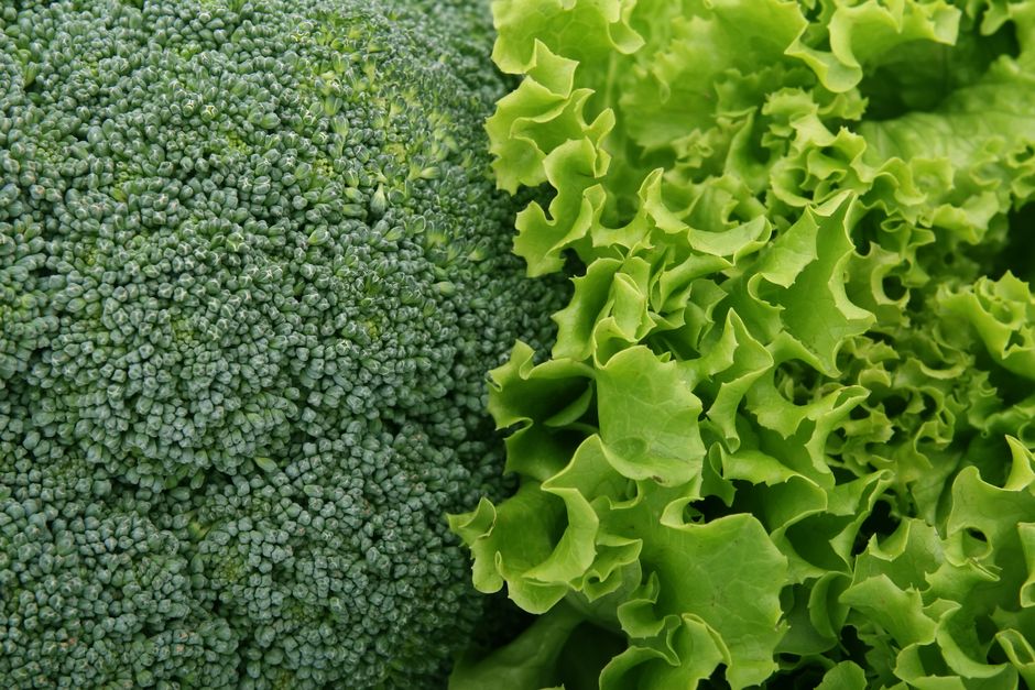 モロヘイヤの栄養と美味しい食べ方|ネバネバ夏野菜の下処理のコツ