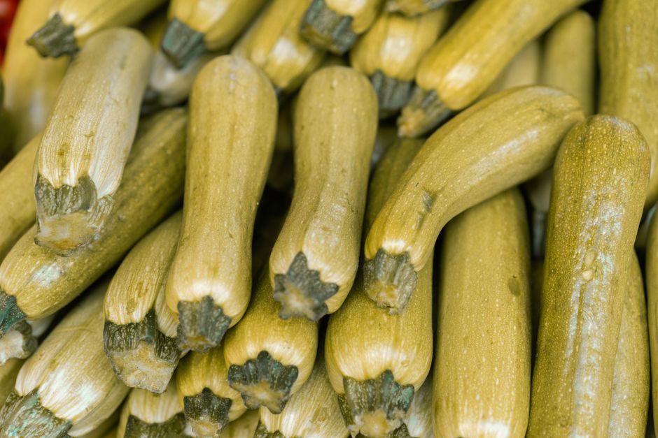 ズッキーニの美味しい食べ方と保存方法｜夏野菜を無駄なく使い切る