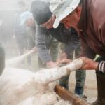 豚肉ブロック・生姜焼き用豚肉お取り寄せおすすめランキング2026｜専門店の味を自宅で
