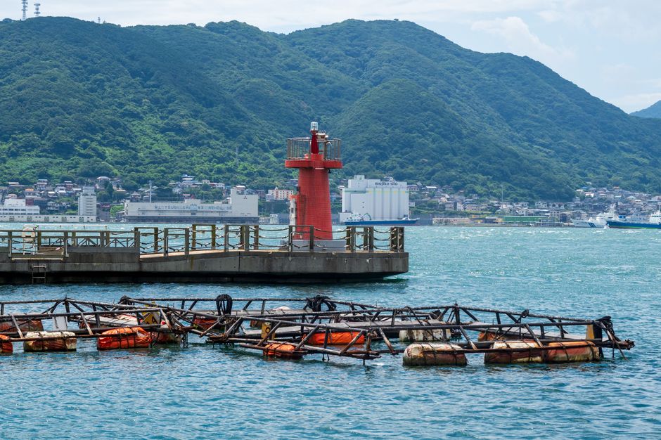 マグロ水揚げで知られる港町の風景
