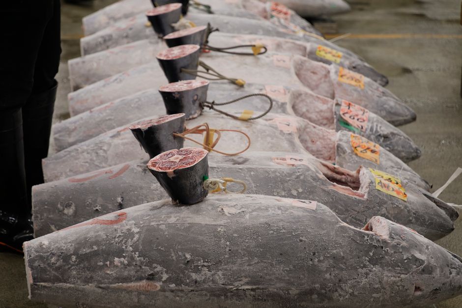 マグロの目玉の食べ方|栄養満点の希少部位を美味しく食べる方法 関連画像1
