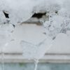 冷凍刺身を丁寧に解凍する様子