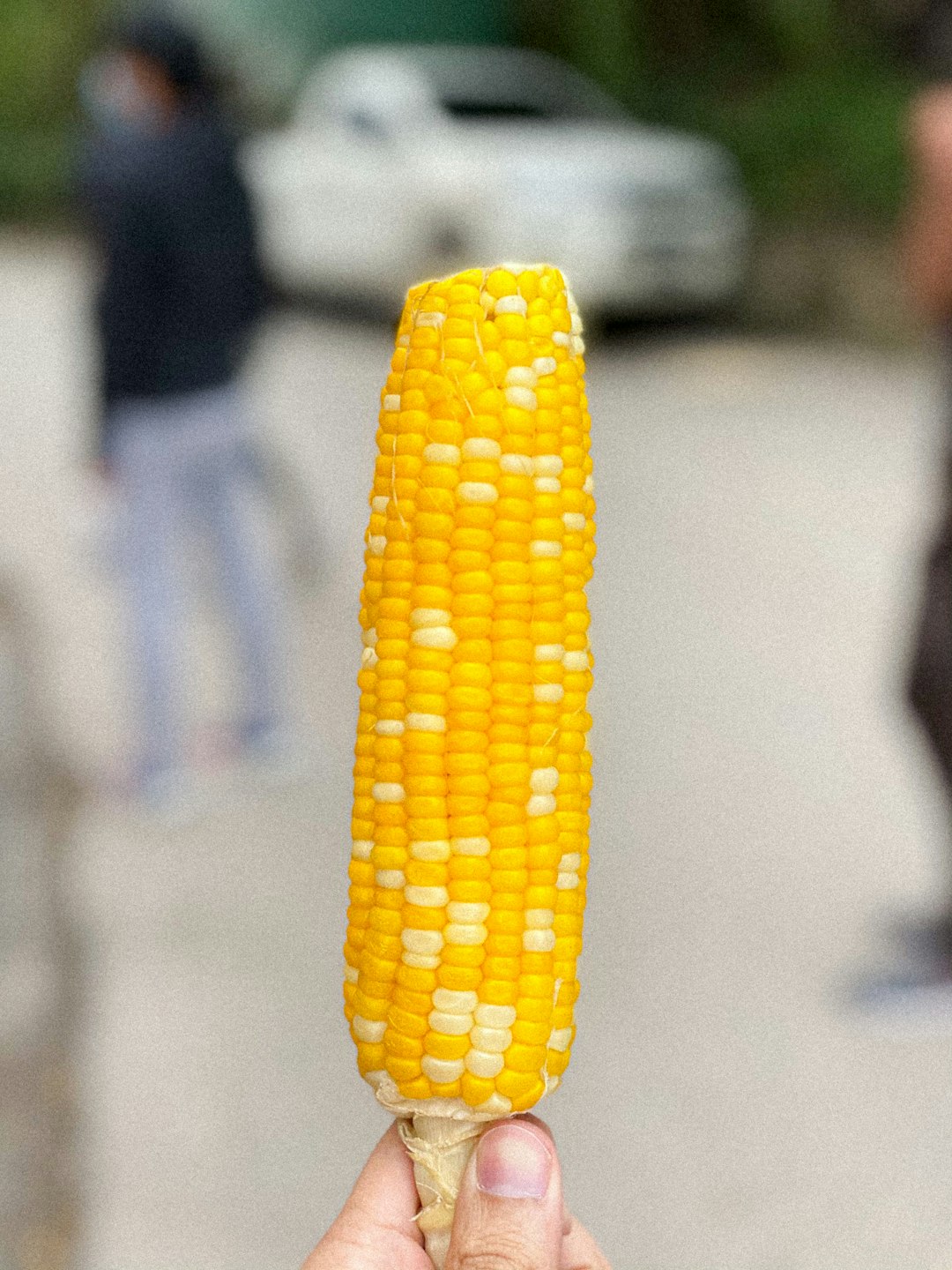 とうもろこし