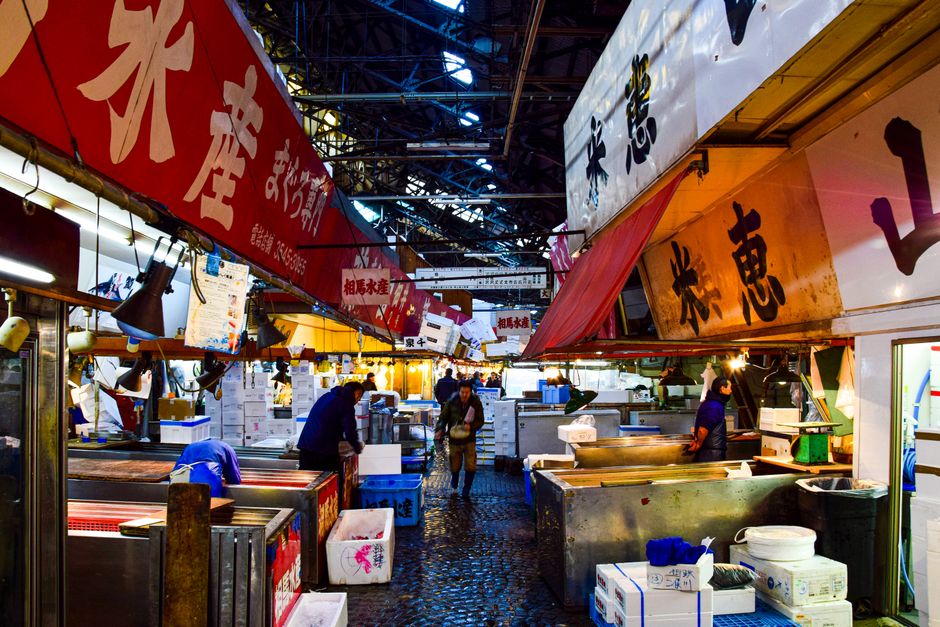鮮魚市場に並ぶマグロ