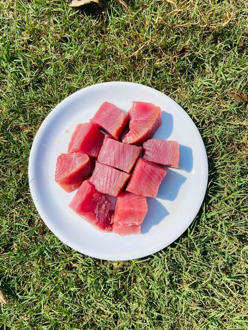 皿に盛られた生のマグロの角切り
