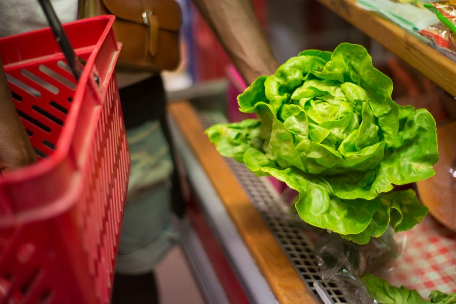買い物かごに入ったレタスと野菜