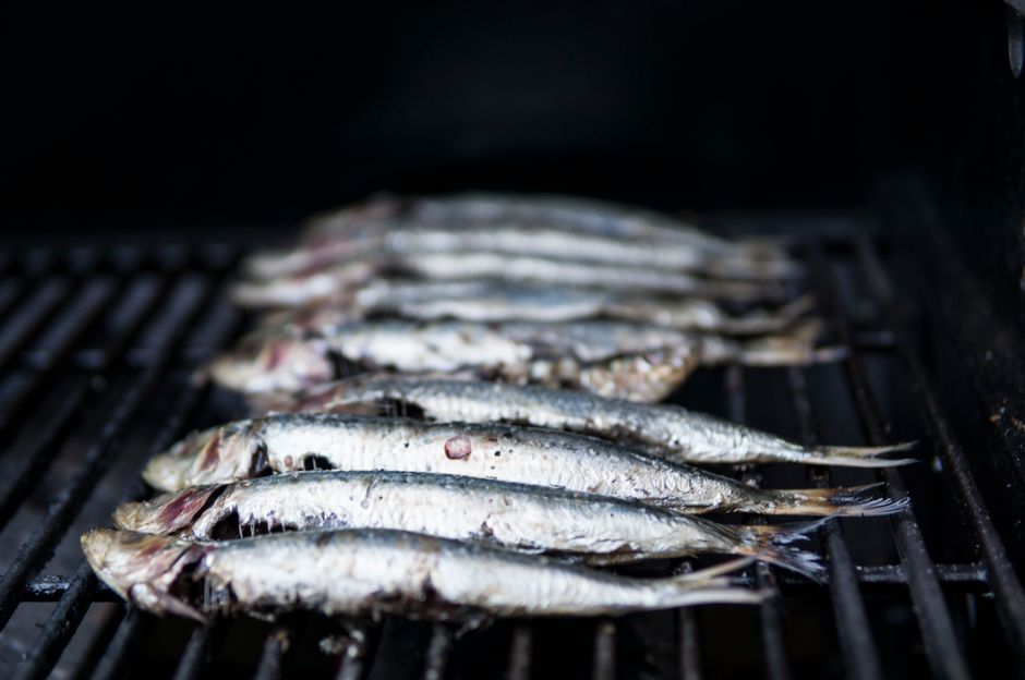 網の上に並んだ小魚の干物