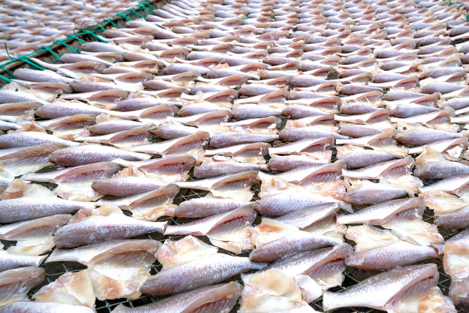 一面に並べて干された魚の切り身