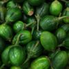 夏野菜の選び方完全ガイド｜トマト・きゅうり・なすの見分け方と保存法