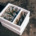 アジの開き方・刺身の切り方完全ガイド｜プロが教える下処理のコツ