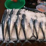 アジの刺身の切り方・さばき方｜三枚おろしの手順とプロのコツ
