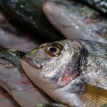 半夏生・海の日に贈りたい海鮮お取り寄せおすすめランキング2026