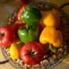 夏野菜お取り寄せおすすめランキング2026｜産直の甘さを楽しむ厳選セット