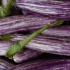 なすの煮浸しの作り方と保存のコツ｜夏野菜を美味しく食べ切る