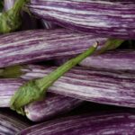 なすの煮浸しの作り方と保存のコツ｜夏野菜を美味しく食べ切る