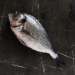 冬瓜(とうがん)の下処理と美味しい煮方｜夏に食べたい淡白野菜