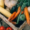 夏の珍しい野菜(モロヘイヤ・ズッキーニ・冬瓜)お取り寄せランキング2026