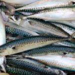 アジフライ・魚介フライ冷凍お取り寄せおすすめランキング2026｜揚げたて専門店の