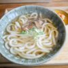 出汁を張った器に盛りつけたうどん