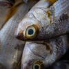 重なった魚の頭と大きな目のクローズアップ