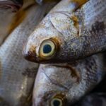 重なった魚の頭と大きな目のクローズアップ