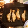 オーブンの天板に並んだ焼き魚の切り身