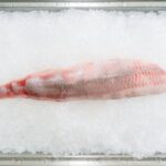 氷を敷いたトレーにのせた白身魚の切り身