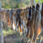 紐でつるして干された黄金色の干物の魚