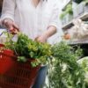 スーパーで野菜を選び買い物かごに入れる様子