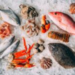 氷の上に並べた新鮮な魚介の盛り合わせ