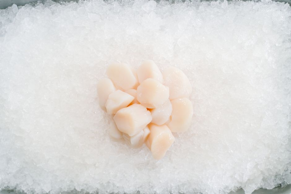 氷の上に並んだ生食用ホタテの貝柱