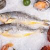 氷の上に並ぶ魚と貝、カニなどの海鮮