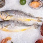 氷の上に並ぶ魚と貝、カニなどの海鮮