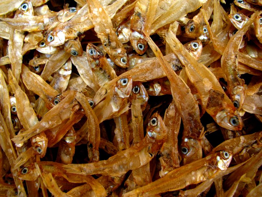 乾燥した小魚が重なり合う様子