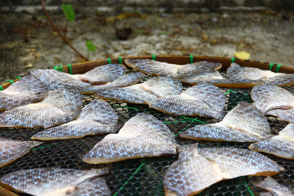 網の上で天日干しされる魚の切り身