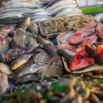 魚のかま・切り身各種