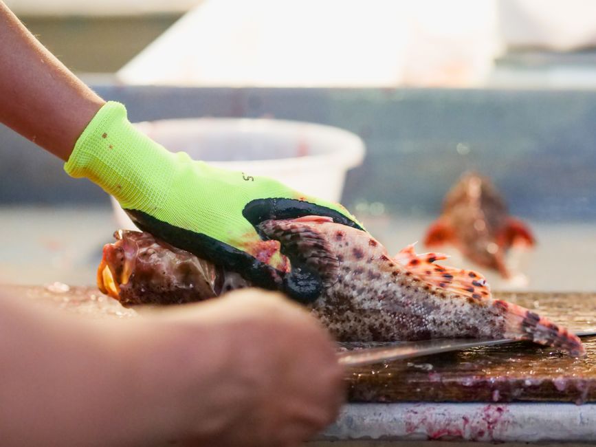 魚をさばく様子