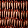 太刀魚のかまの塩焼き