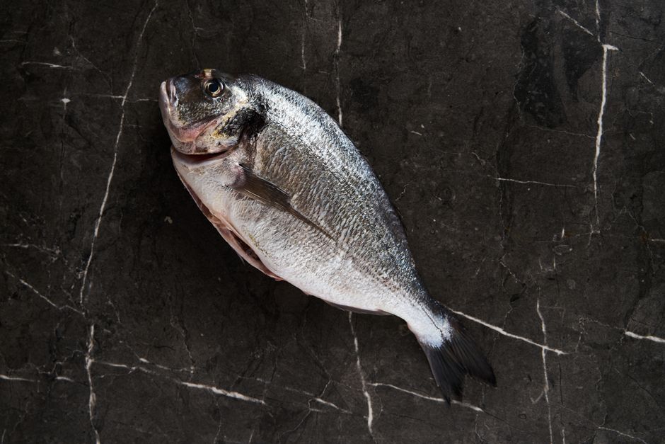 下処理段階の白身魚の頭付き丸魚のクローズアップ