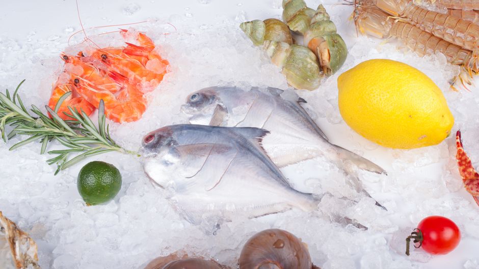 氷の上に並べた鮮魚とえび、レモン