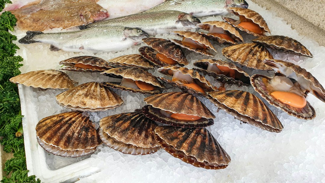 氷の上に並んだ貝殻と魚