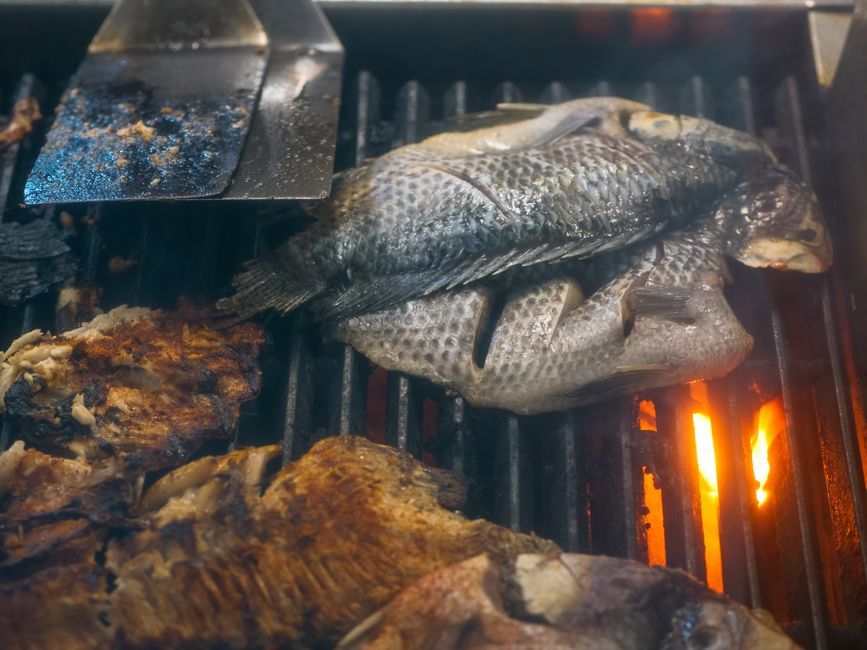 炭火グリルで香ばしく焼き上げる白身魚