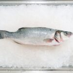 氷の上に並べた新鮮な白身魚