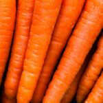 収穫したばかりのにんじんが並んだクローズアップ写真