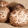 麻布の上に置かれた複数の干し椎茸のクローズアップ