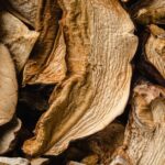 茶色く乾燥した干し椎茸が積み重なったクローズアップ